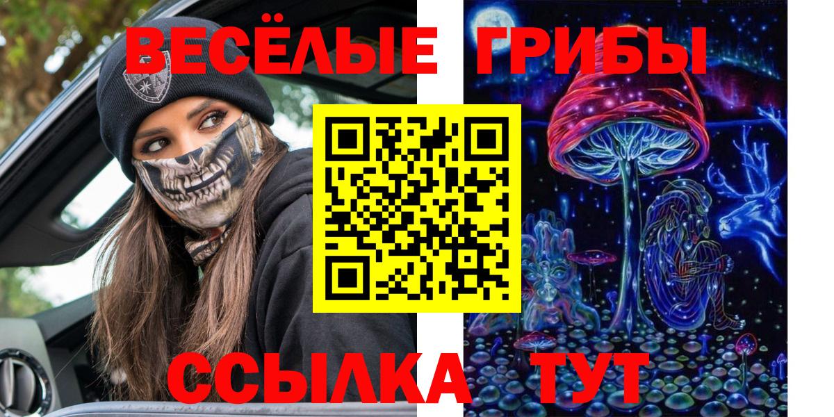 Галлюциногенные грибы GOLDEN TEACHER  Вход с VPN  Большой Камень 