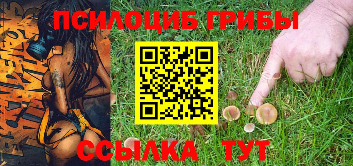 Псилоцибиновые грибы прущие грибы Большой Камень